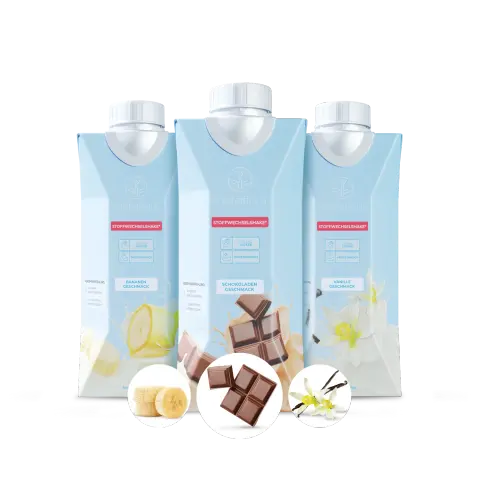 MetaFlow Stoffwechsel-Shake To Go